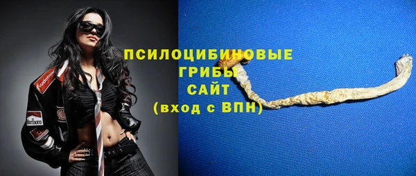 синтетический гашиш Алексеевка