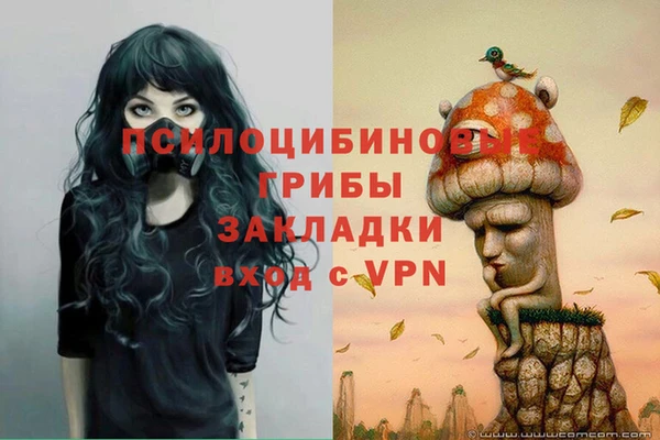 не бодяженный Алзамай