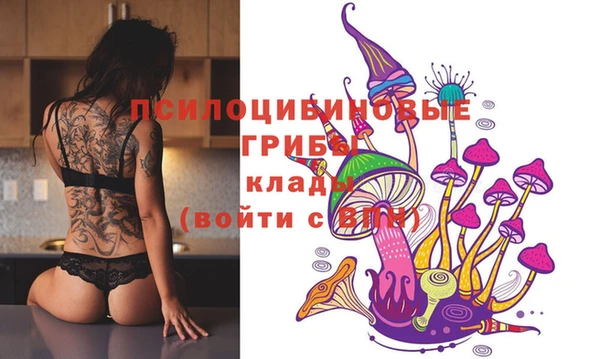 не бодяженный Алзамай