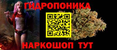 дживик Кунгур