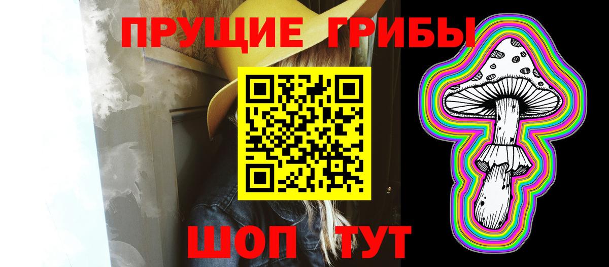Псилоцибиновые грибы Psilocybe  Вход с VPN  Псилоцибиновые грибы мухоморы  Ишим 