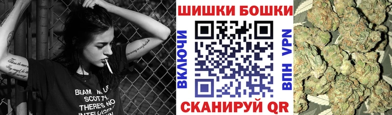 где можно купить наркотик Ишим Шишки марихуана индика